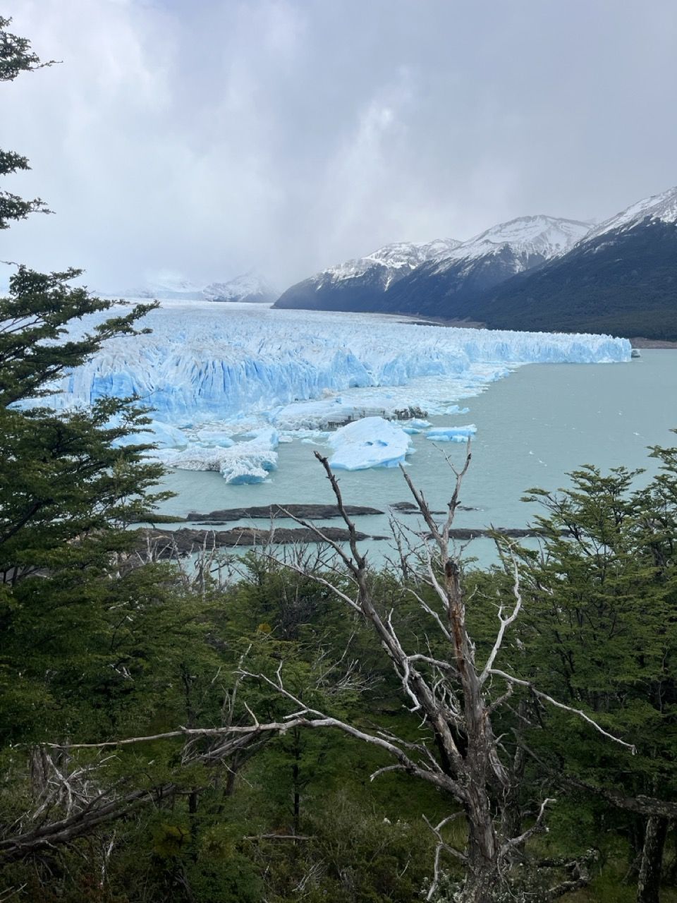 Gletscher in Patagonien mit Eis und türkisfarbenem Wasser